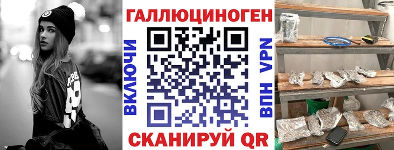 Псилоцибиновые грибы Psilocybine cubensis  Жиздра 